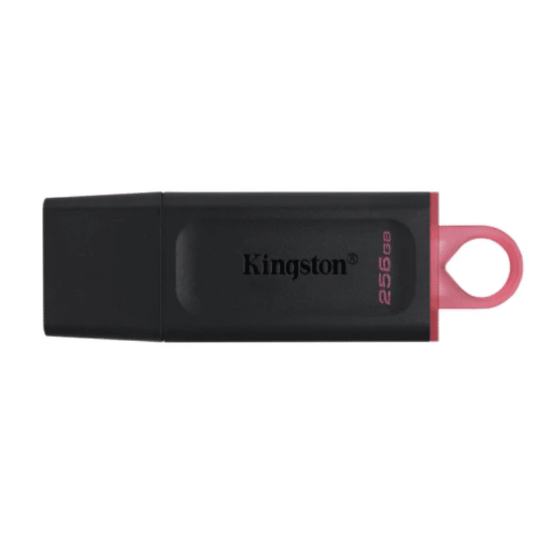Kingston Datatraveler Exodia - 256GB - reFix.dk